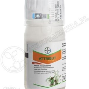 Bayer Attribut 70 Sg 120G + Actirob 1L
