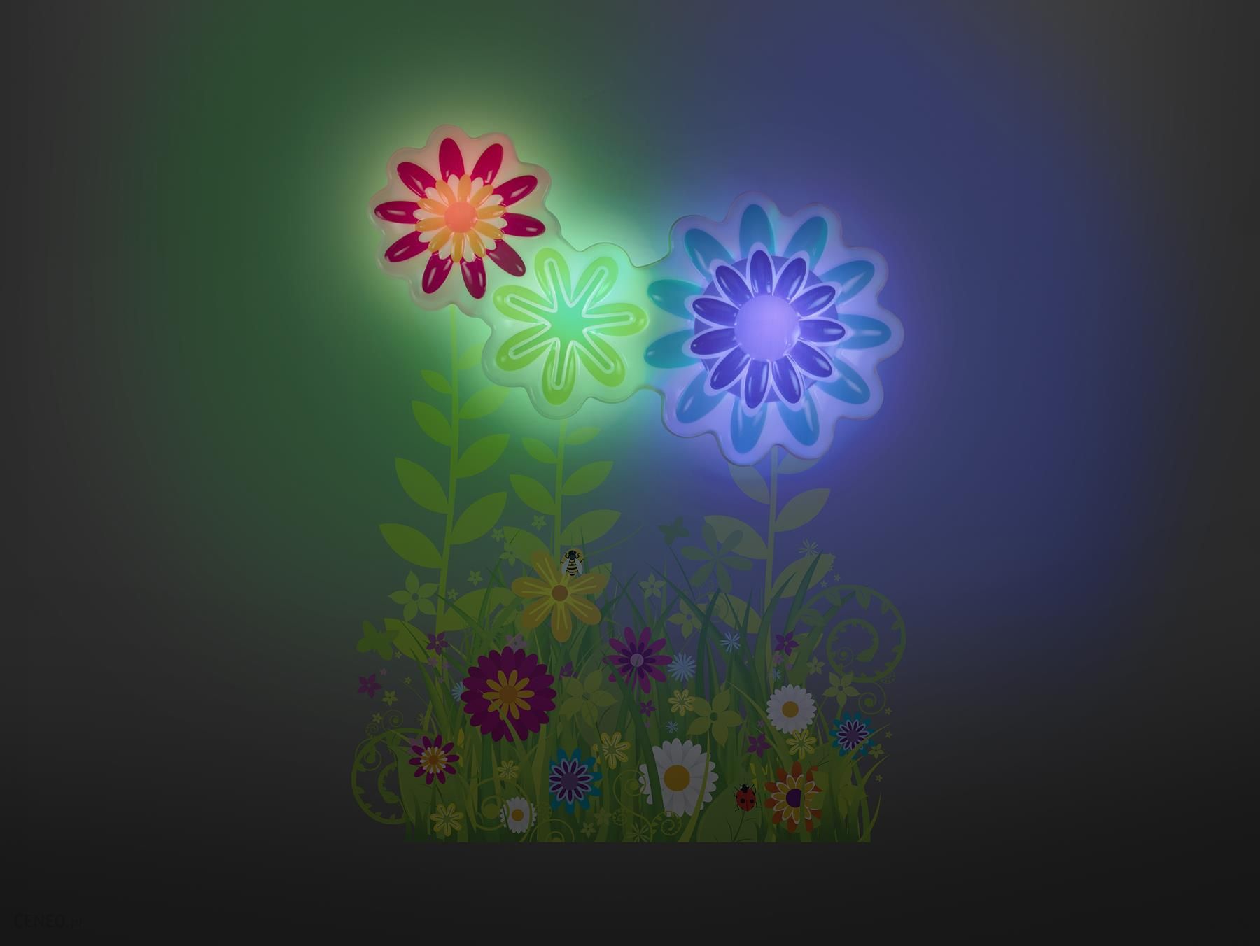 i-dumel-discovery-kwiatowy-ogrod-w-moim-domu-2371