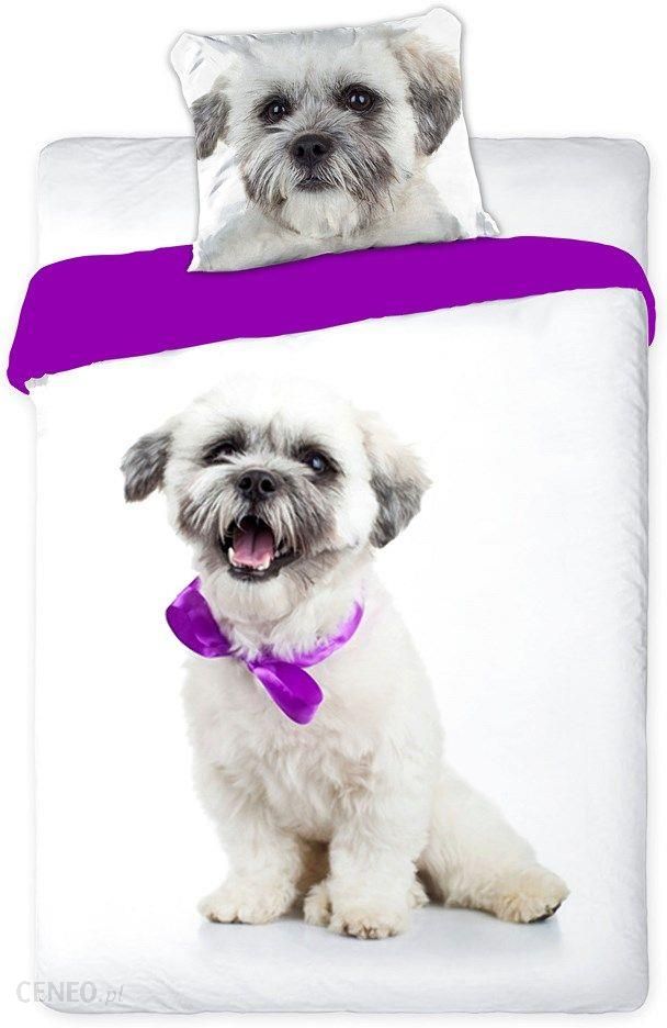 i-faro-posciel-bawelniana-160x200-pies-slodki-bialy-z-fioletowa-kokardka-8316